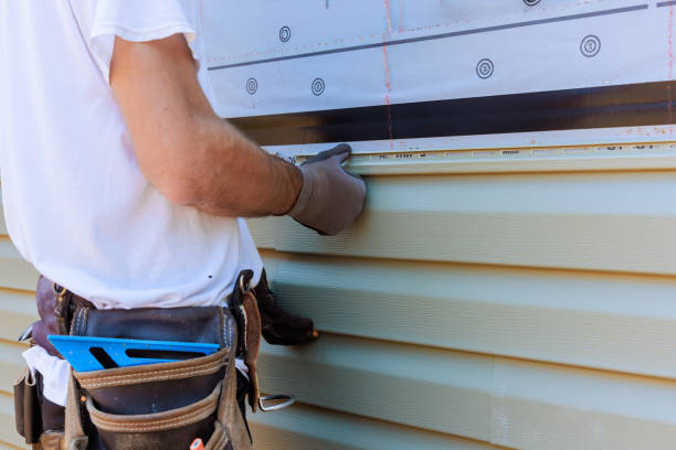 Affordable Vinyl Siding solutions in Alger, OH
